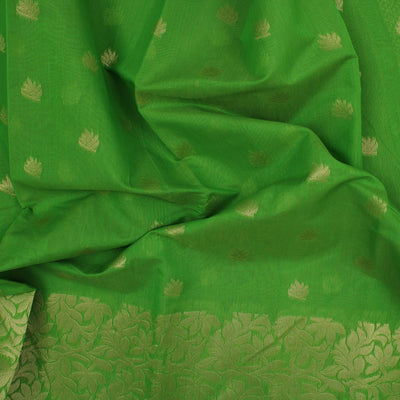 Pale ight green floral silk cotton saree